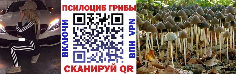 Галлюциногенные грибы мицелий  Островной 